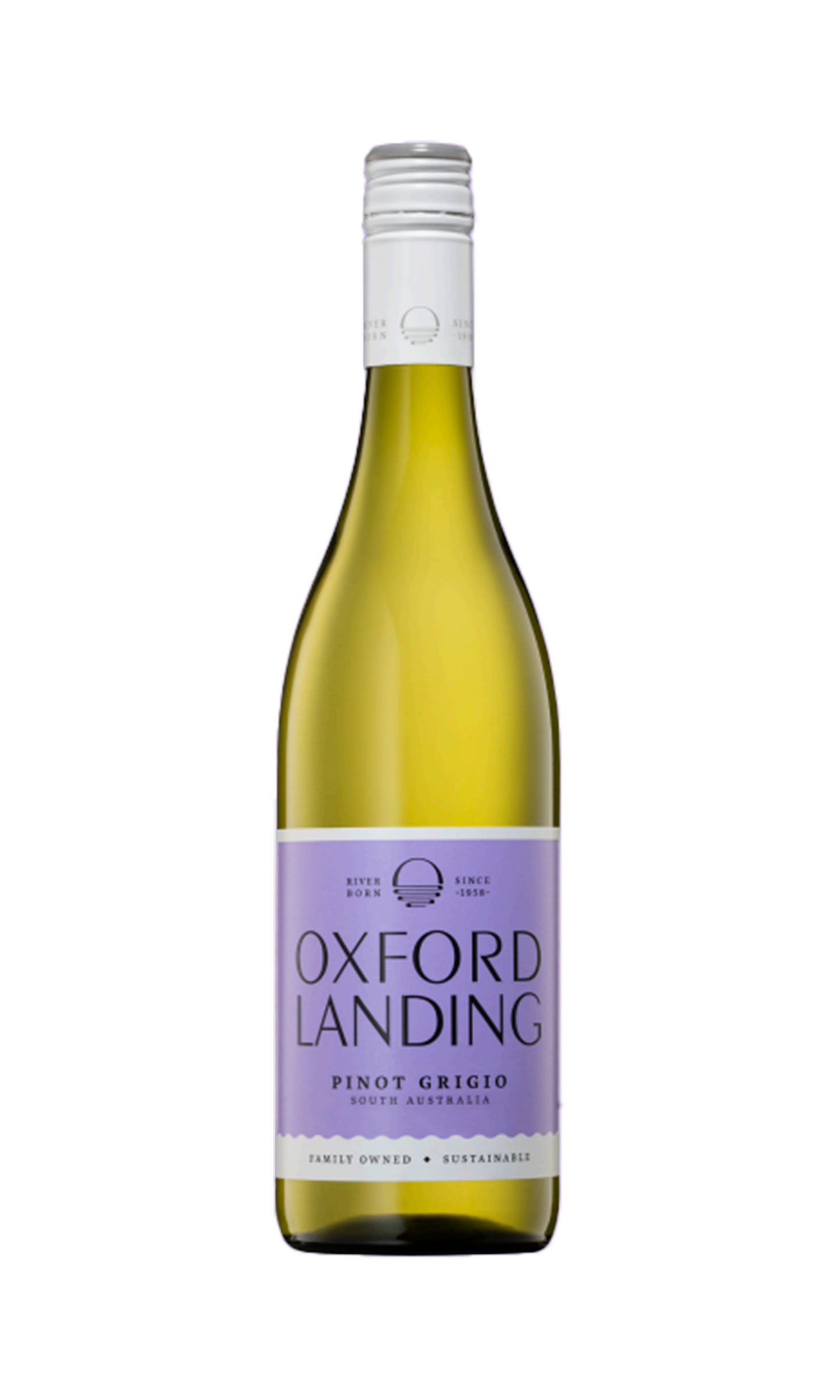 Oxford Landing Pinot Grigio 2025