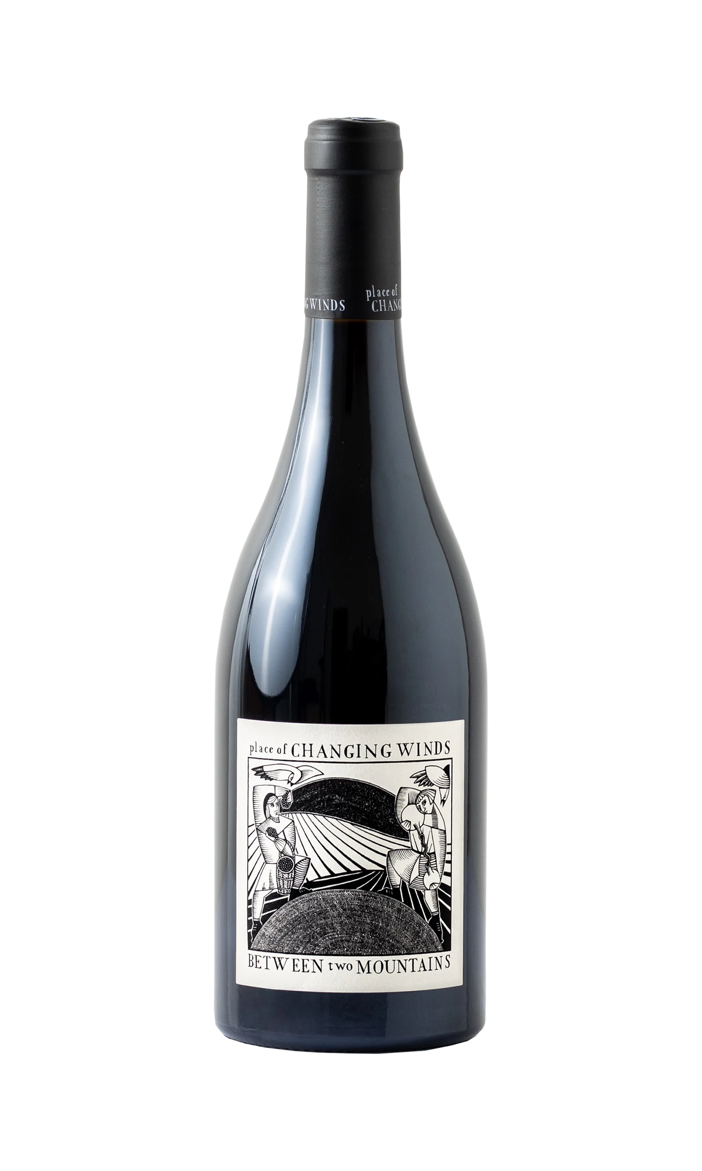 Place Of Changing Winds Between Two Mountains Pinot 2023