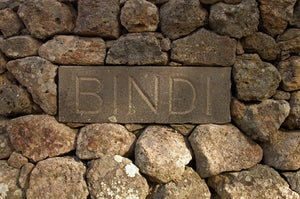 Producer Spotlight: Bindi
