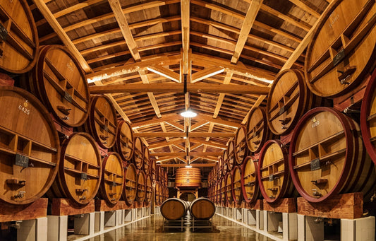 Château de Beaucastel and Famille Perrin Wine Lunch