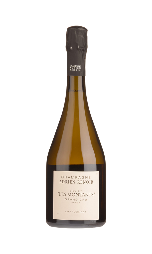 Adrien Renoir Les Montants 2020