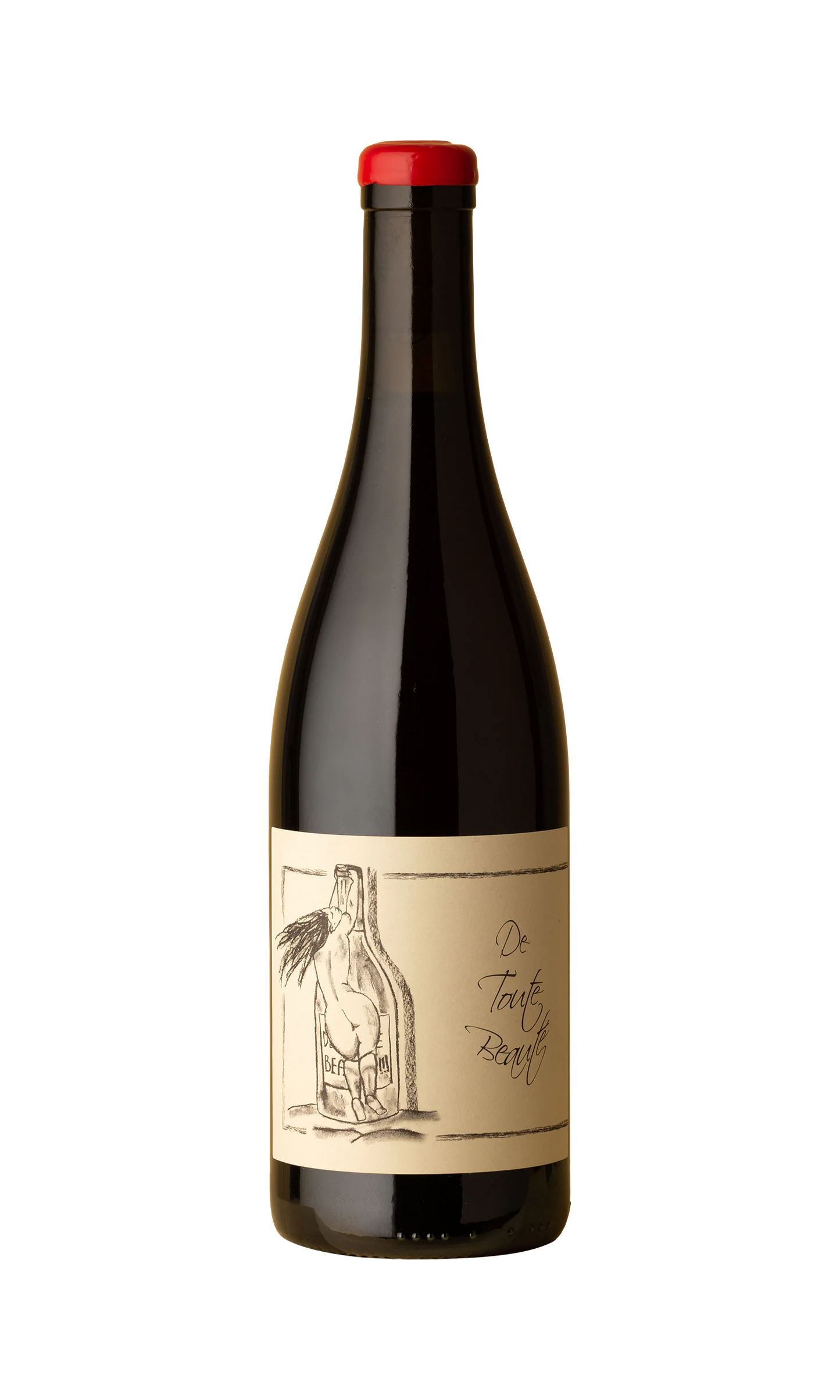 Anne Et Jean Francois Ganevat De Toute Beaute Gamay 2022