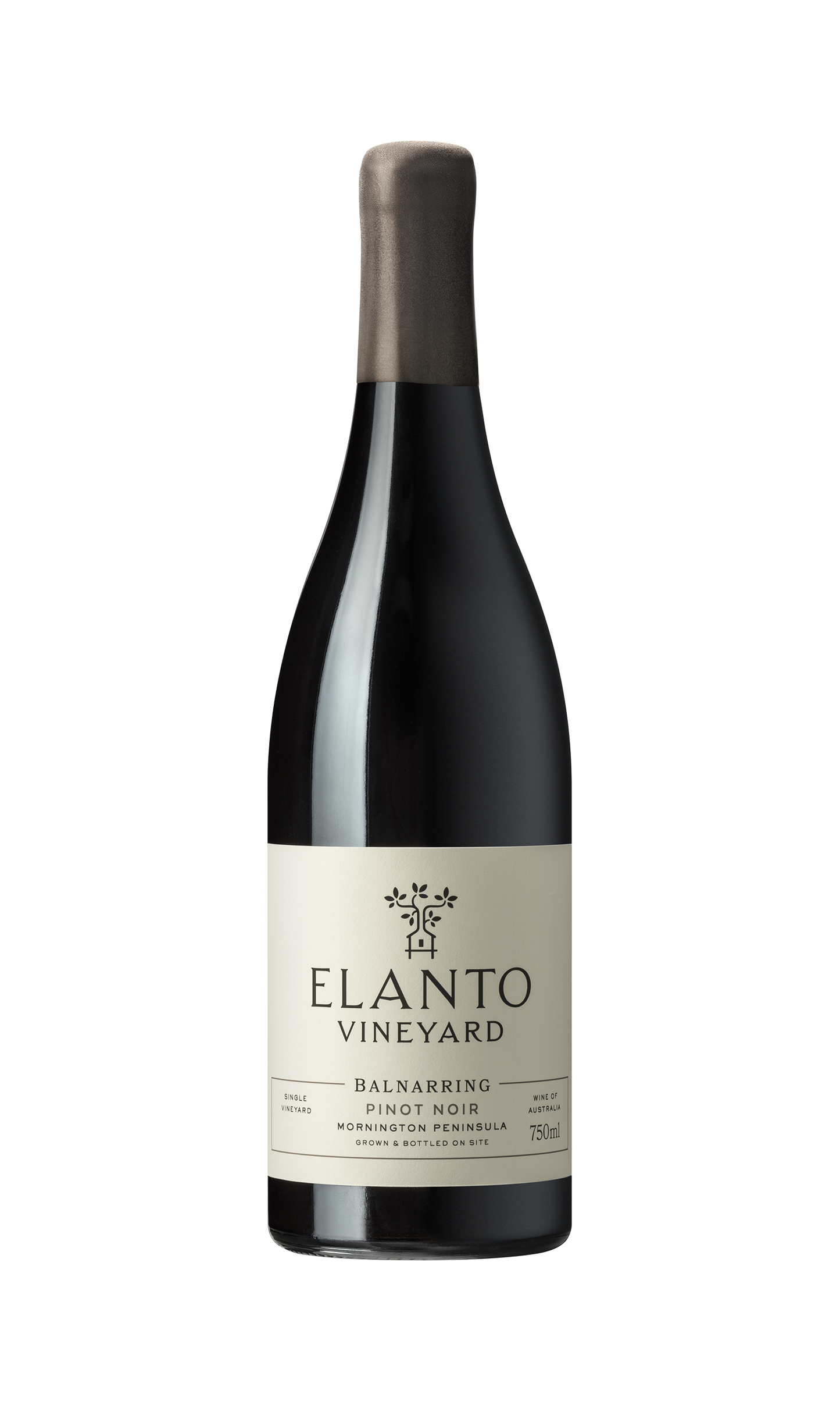 Elanto Vineyard Pinot Noir 2024