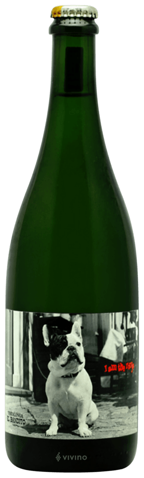 Testalonga El Bandito I Am The Ninja Pet Nat 2024